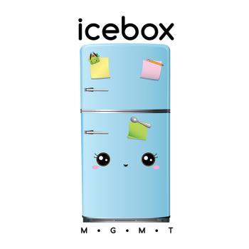 Icebox Management Logo Design